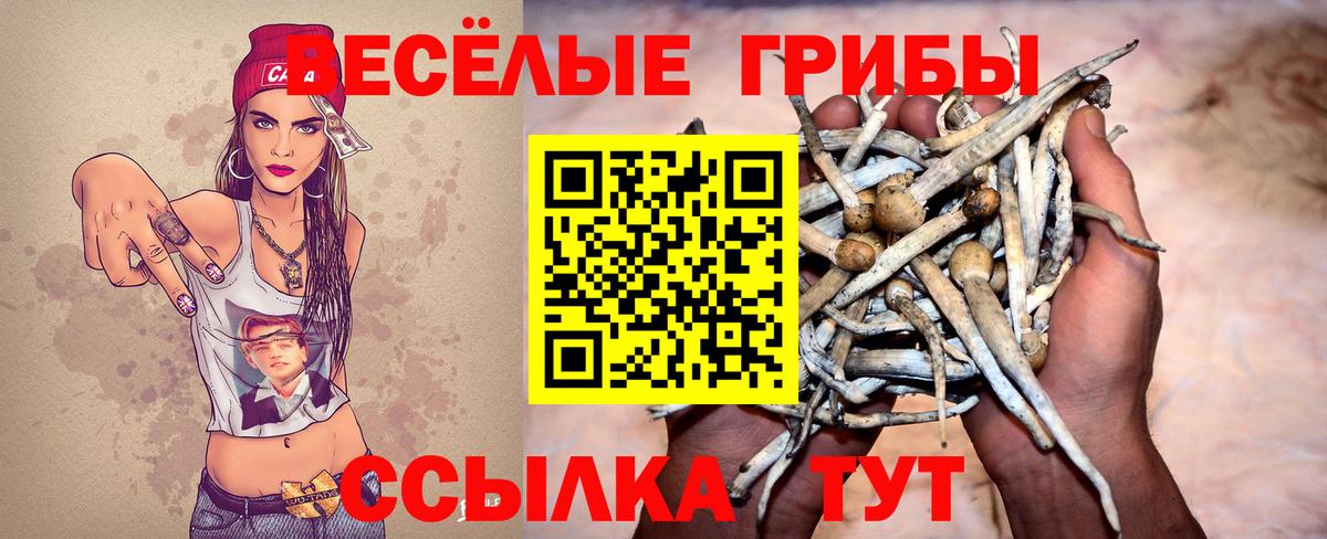 Псилоцибиновые грибы Psilocybine cubensis  Вход с VPN  Бугульма 